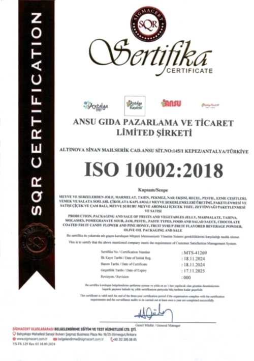 ISO 10002
