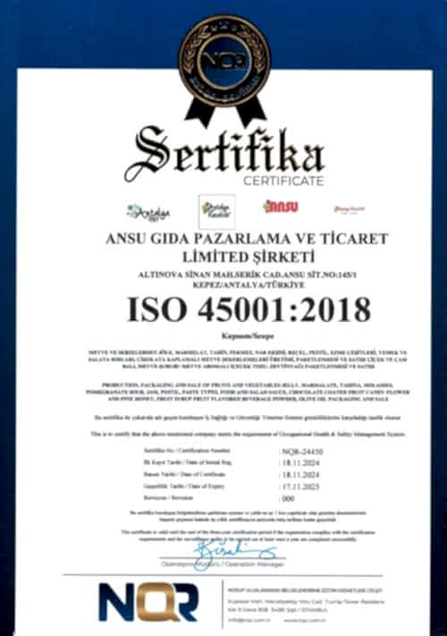 ISO 45001