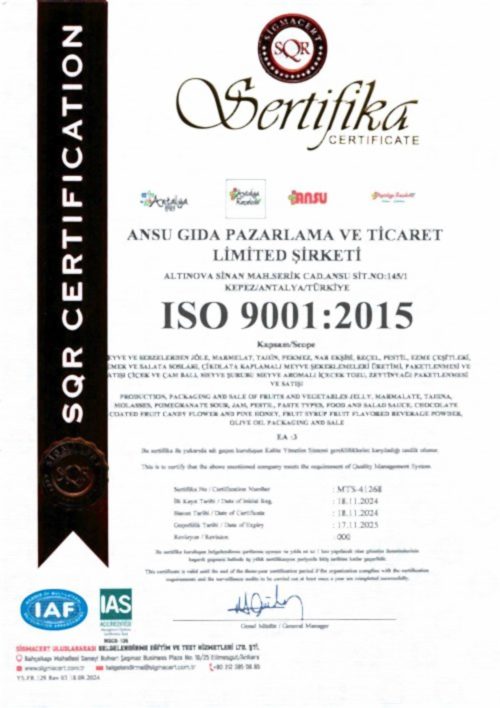 ISO 9001